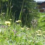 Alpinresortmontafon Garni Szálloda Gargellen