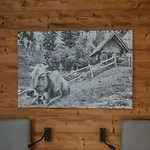 Szálloda Alpinresortmontafon Garni *