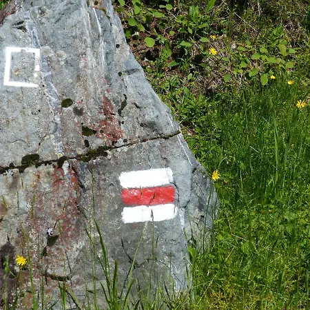 Отель Alpinresortmontafon Garni *