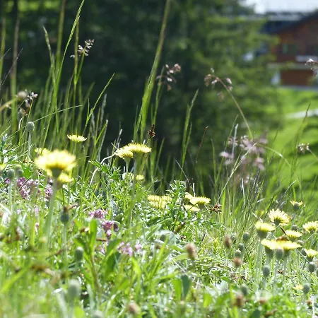 Alpinresortmontafon Garni Отель Гаргеллен