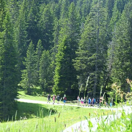 Alpinresortmontafon Garni Hotel