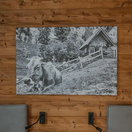 Отель Alpinresortmontafon Garni *